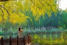 超级碰碰人妻中文字幕-超级碰碰人妻，中文字幕下的情感交织与伦理探讨